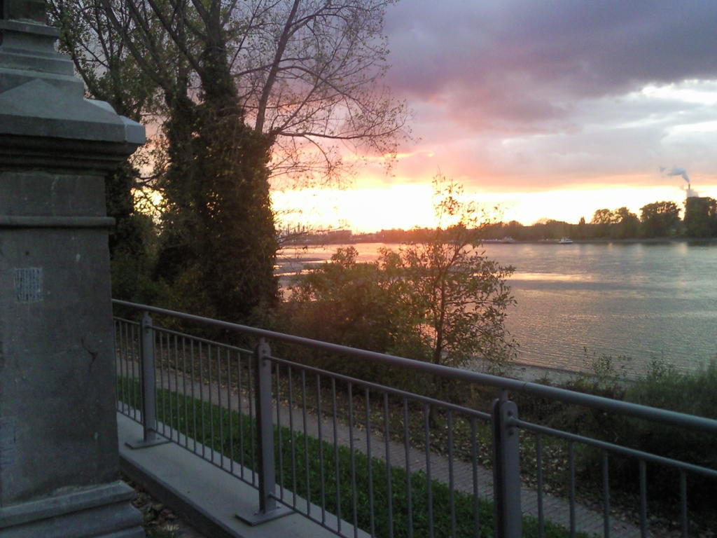 Villa Hof Am Rhein à Cologne Extérieur photo